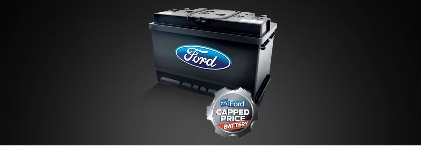 Ắc quy chính hãng Ford