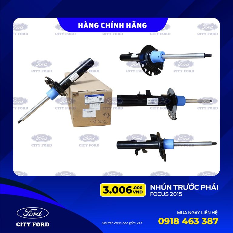 Nhún ( Trước – Phải ) – Focus 2015