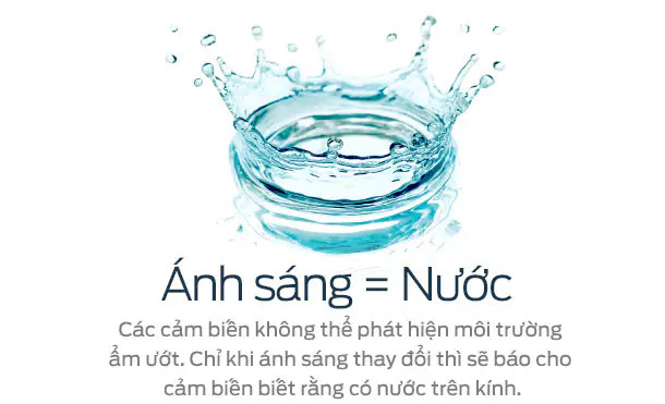 Điều khiển độ nhạy gạt mưa Ford